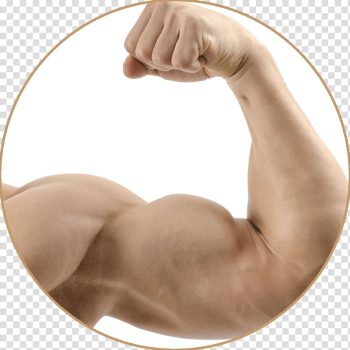 Pumpkin pie Denny's Tumblr Muscle, muscle transparent background PNG clipart Pumpkin pie Denny's Tumblr Muscle, muscle transparent background PNG clipart