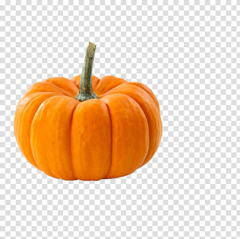 Pumpkin pie Vegetable Field pumpkin Food, pumpkin transparent background PNG clipart Pumpkin pie Vegetable Field pumpkin Food, pumpkin transparent background PNG clipart