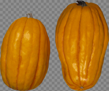 Pumpkin PNG Free Download 40 | PNG Images Download | Pumpkin PNG ...