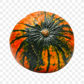 Pumpkin png fruit sticker, transparent | Free PNG - rawpixel