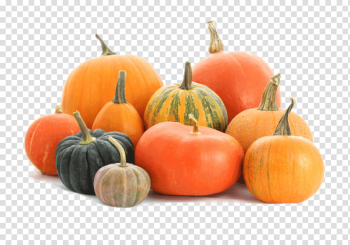 Pumpkin PNG Images Transparent Free Download | PNGMart.com