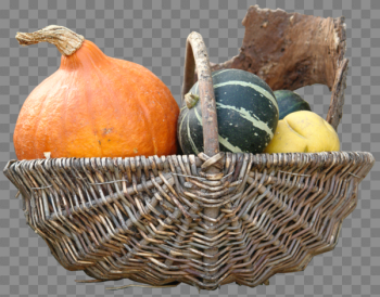 Pumpkin PNG Pic