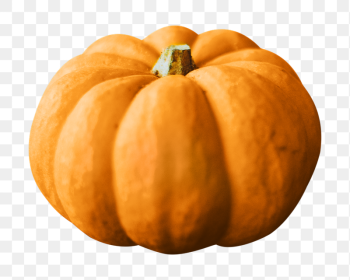 Pumpkin png sticker, transparent background | Free PNG - rawpixel