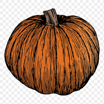 Pumpkin png sticker, vintage plant | Free PNG - rawpixel