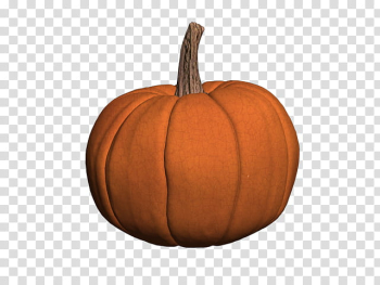 Pumpkin transparent background PNG clipart