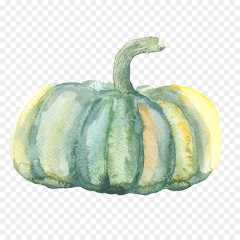 Pumpkin Watercolor painting Gourd - Watercolor pumpkin Pumpkin Watercolor painting Gourd - Watercolor pumpkin