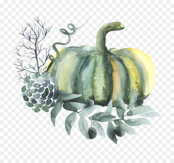 Pumpkin Watercolor painting Vegetable - pumpkin Pumpkin Watercolor painting Vegetable - pumpkin