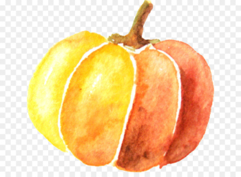Pumpkin Watercolor painting - Watercolor pumpkin Pumpkin Watercolor painting - Watercolor pumpkin