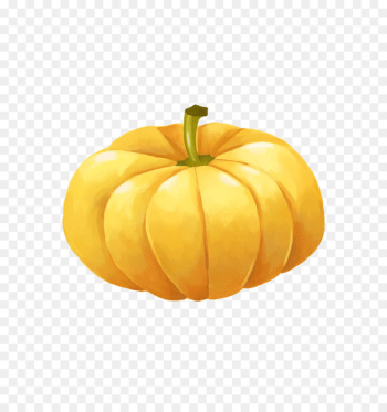 Pumpkin Winter squash Calabaza Gourd - Pumpkin Winter squash Calabaza Gourd -