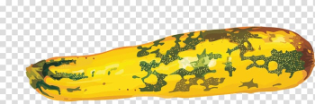 Pumpkin Zucchini Cucurbita, An old cucumber transparent background PNG clipart