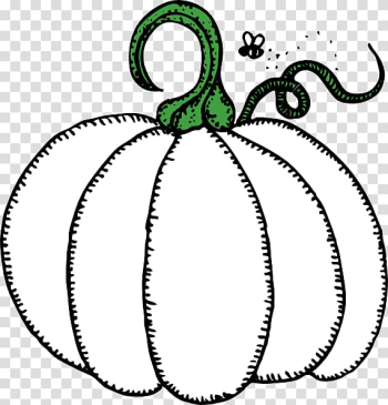 Pumpkin Zucchini Summer squash Open, pumpkin transparent background PNG clipart