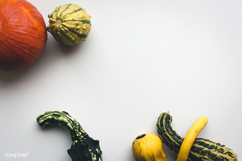 Pumpkins on white background | Free public domain photo - 447755 Pumpkins on white background | Free public domain photo - 447755