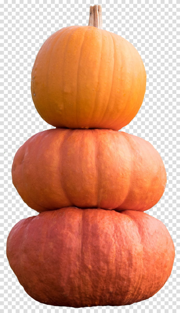 Pumpkins  , pile of three pumpkins transparent background PNG clipart