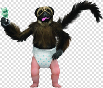 Free: pupp monkey baby puppymonkeybaby freetoedit... - nohat.cc