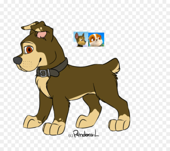 Puppy Lion Dog breed Cat - puppy Puppy Lion Dog breed Cat - puppy