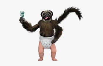 Puppy Monkey Baby Png - Puppy Monkey Baby Transparent PNG ...