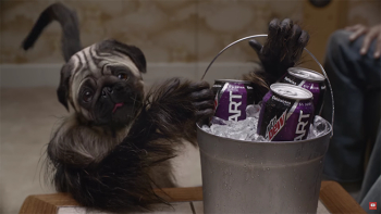 puppy-monkey-baby - quench puppy-monkey-baby - quench