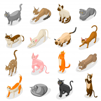 Purebred cats isometric icons Free Vector Purebred cats isometric icons Free Vector