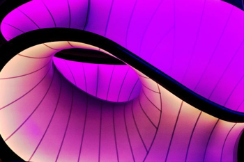 purple and black digital wallpaper purple and black digital wallpaper