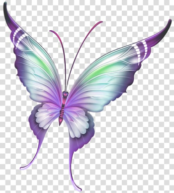 Purple and gray butterfly art, Butterfly Insect Paper, Painted Purple Butterfly transparent background PNG clipart