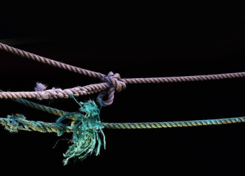 purple and green ropes