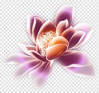 Purple and pink flower , Mid-Autumn Festival, Lotus transparent background PNG clipart