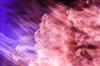 purple and pink smokes wallpaper purple and pink smokes wallpaper