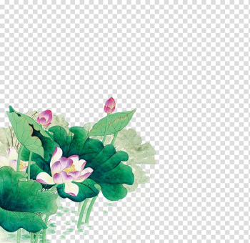 Purple and red lotus flowers art, u8377u82b1u56fe Ink wash painting Chinese painting Gongbi Shan shui, Ink lotus transparent background PNG clipart