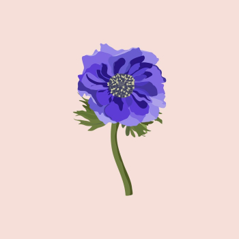 Purple anemone sticker, aesthetic flower | Free Vector Illustration - rawpixel Purple anemone sticker, aesthetic flower | Free Vector Illustration - rawpixel