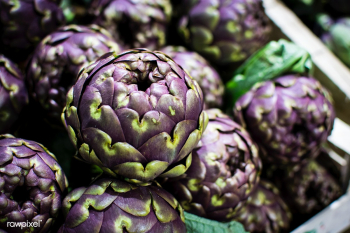 Purple artichoke | Free public domain photo - 448194 Purple artichoke | Free public domain photo - 448194