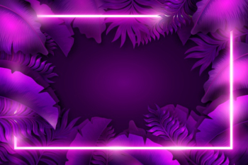 Purple background with neon frame Free Vector Purple background with neon frame Free Vector