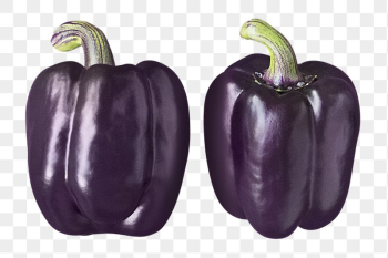 Purple bell peppers png sticker, | Free PNG - rawpixel Purple bell peppers png sticker, | Free PNG - rawpixel