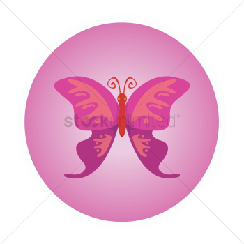 Purple butterfly Purple butterfly