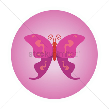 Purple butterfly Purple butterfly