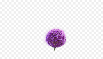 Purple Coppenrath publisher Pattern - Purple Dandelion Purple Coppenrath publisher Pattern - Purple Dandelion