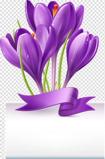 Purple flower , Beautiful bouquet of purple ribbon transparent background PNG clipart