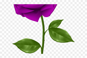 Purple Flower Clipart Purple Rose - Purple Rose Clip Art Purple Flower Clipart Purple Rose - Purple Rose Clip Art