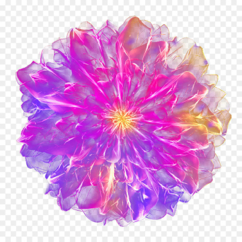 Purple Flower - Dream purple flower top view Purple Flower - Dream purple flower top view