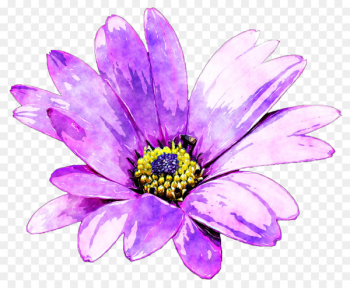 Purple Flower Watercolor painting - Purple daisies Purple Flower Watercolor painting - Purple daisies