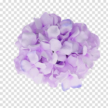 Purple flowers, French hydrangea Flower Purple Baby shower, Hydrangea flowers transparent background PNG clipart