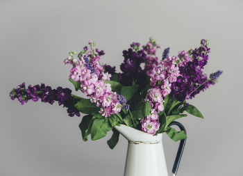 Purple flowers in a vase. | Free Photo - rawpixel