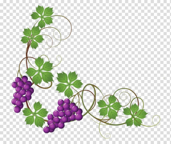Purple grape fruits , Common Grape Vine Wine Grape leaves , Vine transparent background PNG clipart
