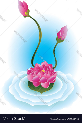 Purple lotus flower vector image