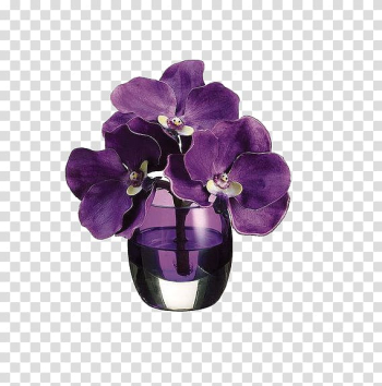 Purple moth orchids in glass vase, Purple Vase Artificial flower Violet, Bouquet of purple flowers transparent background PNG clipart