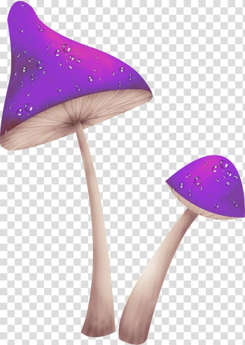 Purple mushroom , Fungus Mushroom , Purple mushrooms transparent background PNG clipart