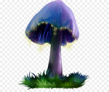 Purple Mushroom - Purple mushrooms 