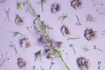 purple petaled flower decor purple petaled flower decor