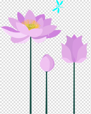 Purple, Purple lotus transparent background PNG clipart Purple, Purple lotus transparent background PNG clipart