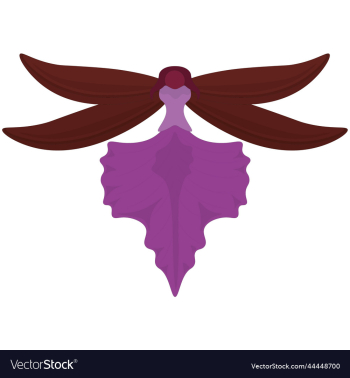 purple red colors orchid flower purple red colors orchid flower