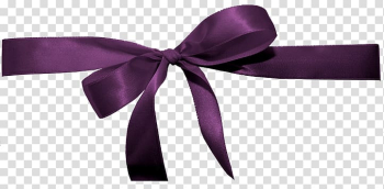 Purple ribbon, Ribbon Software , Purple ribbon bow transparent background PNG clipart